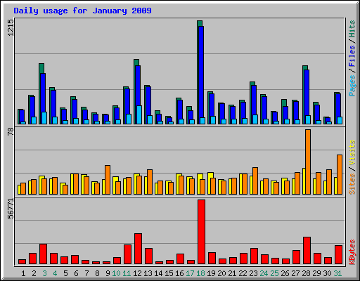 Daily usage for January 2009