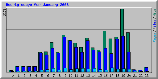 Hourly usage for January 2008