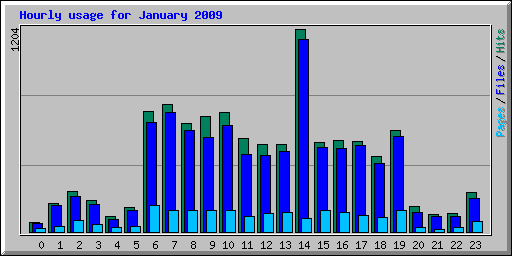 Hourly usage for January 2009